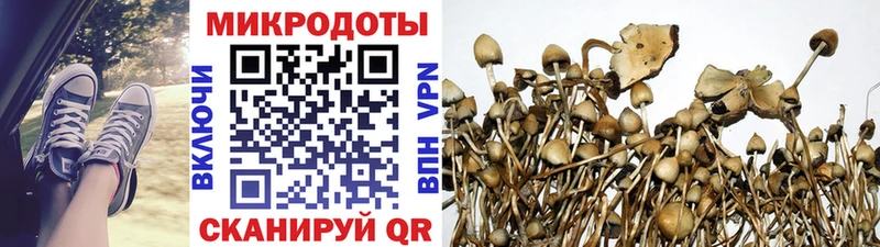 Псилоцибиновые грибы мухоморы  Покров 