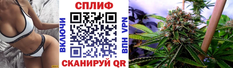 даркнет телеграм  магазин  наркотиков  Покров  Конопля VHQ 